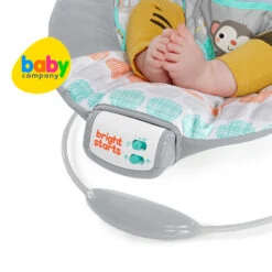 Bright Starts Whimsical Wild - Cradling Bouncer 7 Bright Starts Whimsical Wild - Cradling Bouncer -VTech Shop 10091463 4